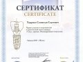 Сертификат участника теоретической и практической части семинара «Синус-лифтинг. Инновационные технологии».