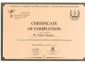 Сертификат участника симпозиума «WORLD DENTAL IMPLANT SYMPOSIUM 2013».